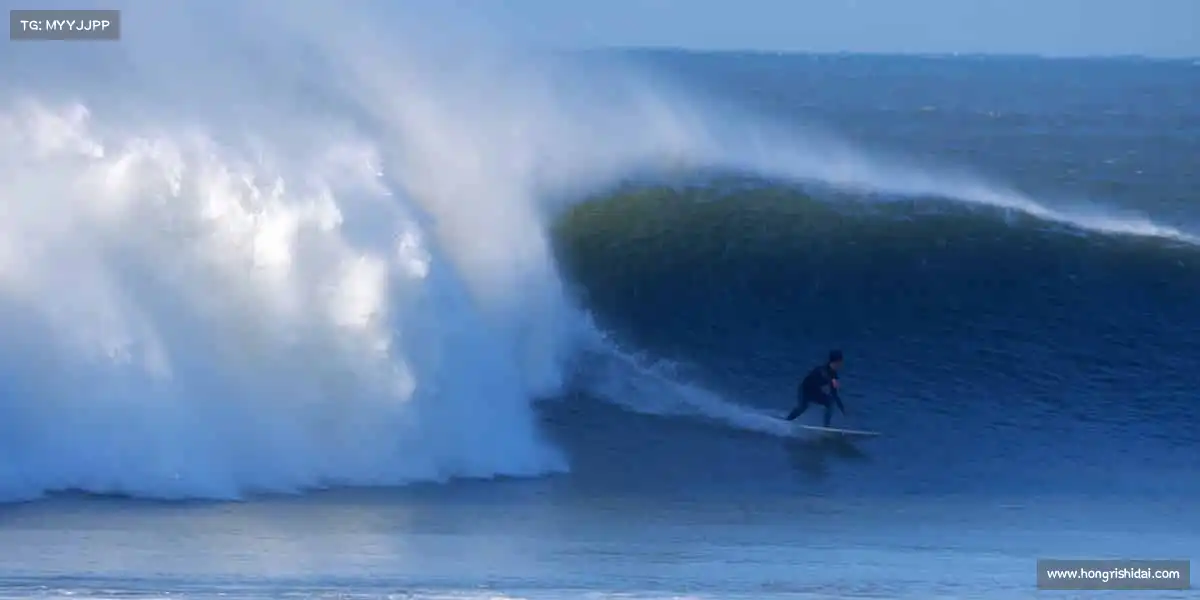 为什么选择我们